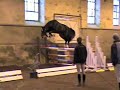 QLASSIC - STALLION JUMPING BY L\