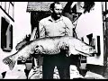 World Record HUGE Pike!!! World Record HUGE Pike!!!