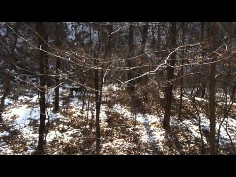 멧돼지사냥.MOV