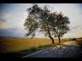 Musicanova - A la terra di Basilicata