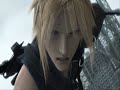 Final Fantasy 7 Advent Children (Rosenrot)