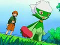 We are the Champions (Wooper-Aipom-Pichu) We are the Champions (Wooper-Aipom-Pichu)