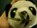 cute little panda toy cute little panda toy