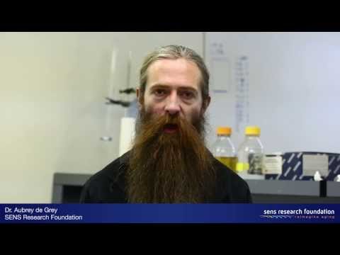 Mitochondrial Mutations in Aging – Dr. Aubrey de Grey