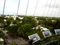 Key West Phallic