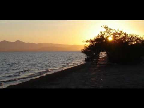 VIDEOS: La Paz Beach Houses for Sale 0 VIDEOS: La Paz Beach Houses for Sale