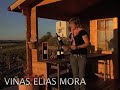 Cata de Viñas Elias Mora