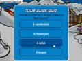 Como ser guia de Tour en Club Penguin