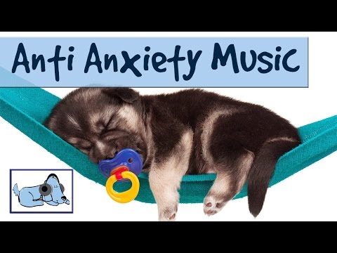 how to relieve anxiety in dogs