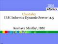 Dynamic SQL in IBM Informix Dynamic Server 11.5