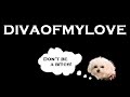 Thumbnail #3
