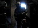 HASIČI HM  17.8.08 likvidace obtížného hmyzu Horní Maršov