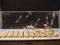 Mousetrap reactor (side view slow motion)