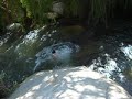 refalin en el rio elqui