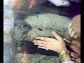 شاهدوا اثر ولادة امير المومنين علي ع في بيت الله الحرام