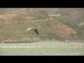 videos de Pelicans Diving Fort Baker: Five Stars Yacht ZAP Wine Cruise