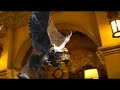 les-coulisses-de-la-tour-de-la-terreur.html