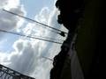 videos de Radikali