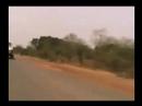 Qudus onikeku in roforofo fight 1