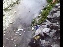 Donna all'avventura nel tevere per riprendere il pallone
