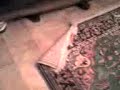 ghost or poltergiest