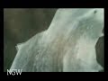 Zelda Twilight Princess - Lakebed Temple - Part 5 Zelda Twilight Princess - Lakebed Temple - Part 5