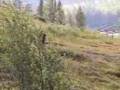 The sound of power lines