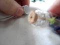 (uploaded by Gord0r)&nbsp;Bamboo in a Bottle - Bambu na Garrafa - Deal Extem