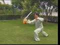 Yang taiji dao by Ding Shui-de
