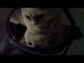 videos de got him and don`t let him escape