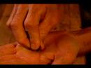 How to Make Raw Chocolate : Cacao Beans
