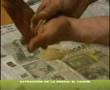 Hachis De Marihuana