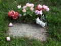 BURR OAK CEMETERY - THE BODY SNATCHERS