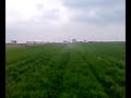 NEWHOLLAND TD85D GÜBRE SERPME ?RTEM 1000kg NEWHOLLAND TD85D GÜBRE SERPME ?RTEM 1000kg