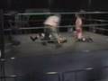 Taylor vs Hoofer