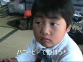 ハニービー動画