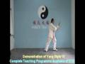 Yang Style Taiji 13 Forms