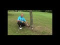 abridge course update 4