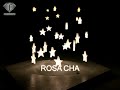 rosa cha fall winter 05/06   1