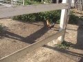 Nuovo Campo di Volo per Aereomodelli  rc a Catania