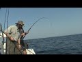 Topsail Island Fishing for Amberjack with Reel Adventure