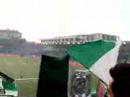 Den kseneronoume pote.. Panathinaikos Gate 13 Leoforos