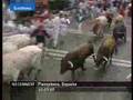 Pamplona - España - euronews - No Comment
