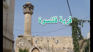 قرية قلنسوة احكيلي عن بلدي7