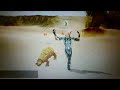 cabal ghey dance