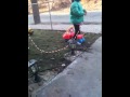 Playing in the yard