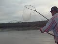 pesca piau sul