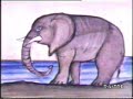 Angelo Branduardi - Il libro