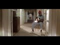 Seu Jorge - Lady Stardust