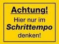 Interview Gesa Ziemer, 1. Teil